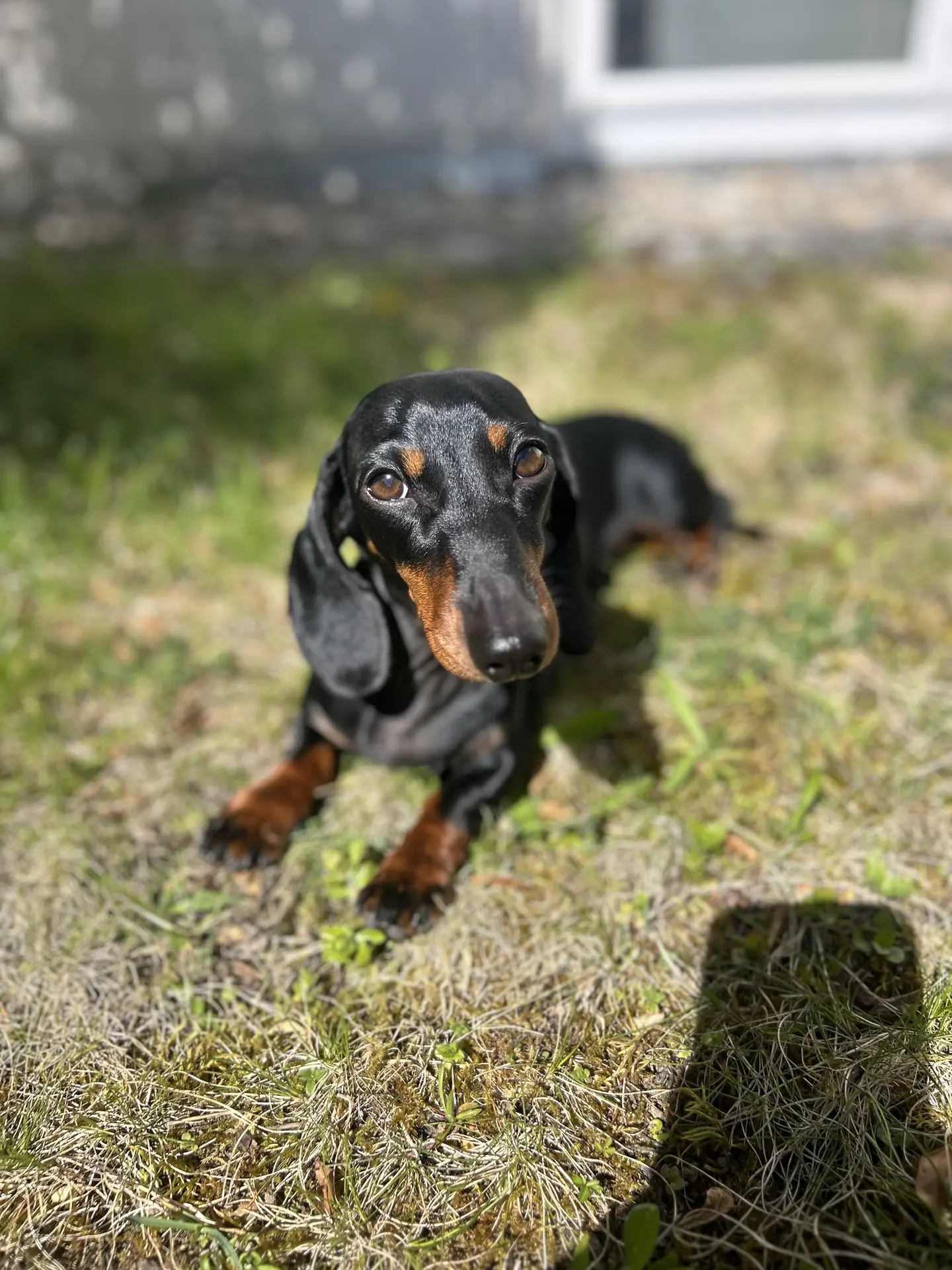 Trudi H.